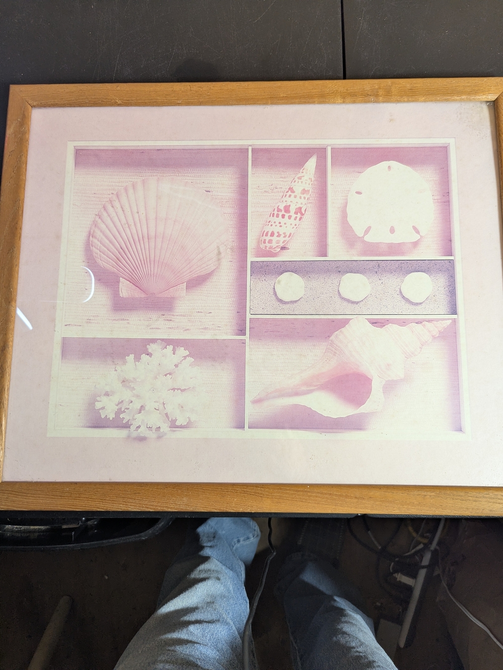 Source Unknown Pink Shell Collage in Light Wood Frame